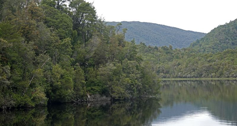 lower Gordon River