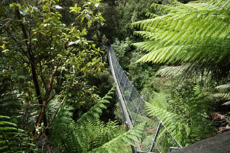 swing bridge