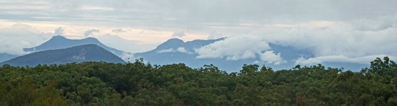 view from Mt French