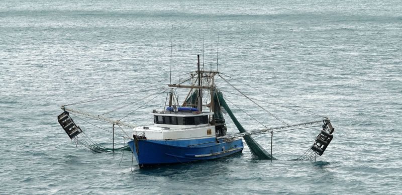 prawn trawler