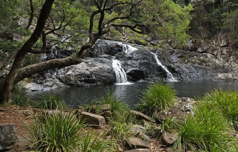 # South-east Queensland, again #