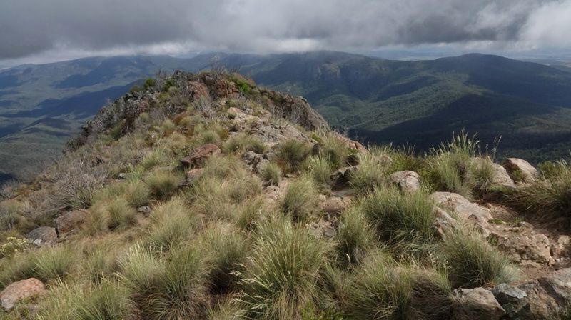Mount Kaputar summit