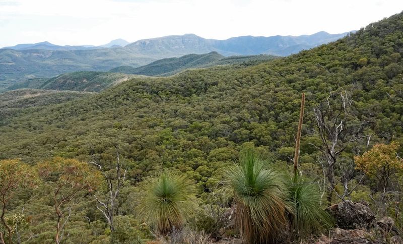 Mount Kaputar National Park