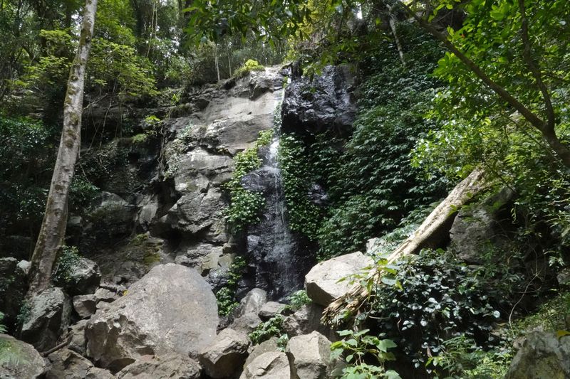 Festoon Falls