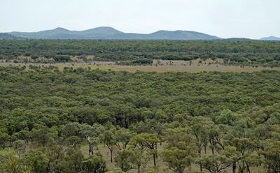 Blackbraes landscape