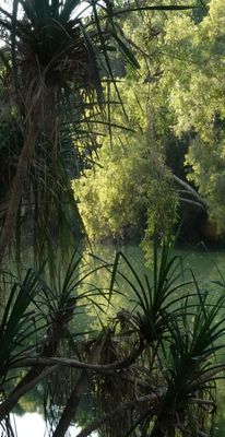 g13/26/1054626/3/174380711.f196cf42.JPEG
