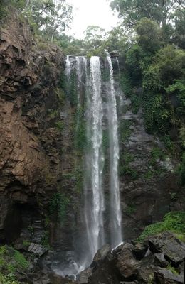 # south-east Queensland (3) #