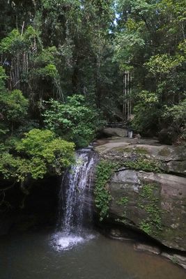 # south-east Queensland (3) #