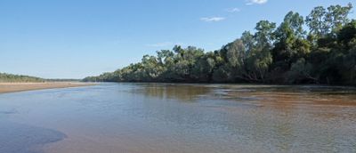 # miscellaneous FNQ #