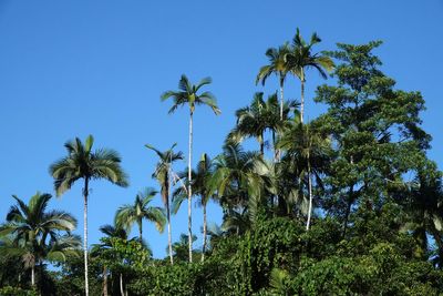 # miscellaneous FNQ #
