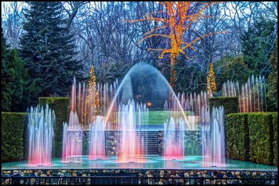 Longwood Gardens, December, 2014