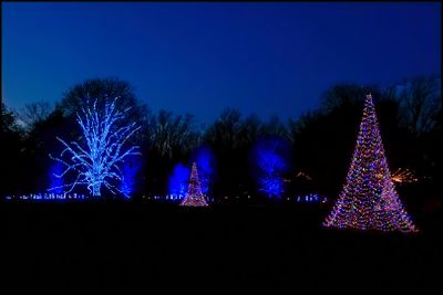 Longwood Gardens, December, 2023