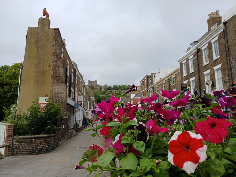 7th June 2025 - a floral display along Castle Street