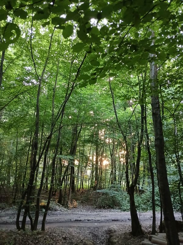 21st June 2025 - wild camping for solstice 