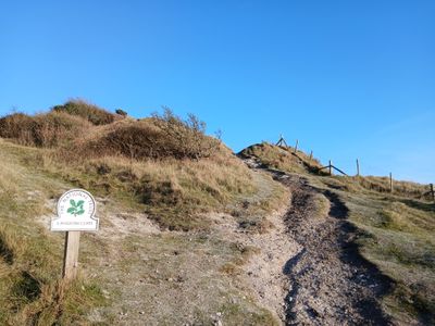 14th January 2025 - Langdon Cliffs