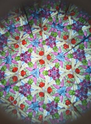 20th January 2025 - through the kaleidoscope