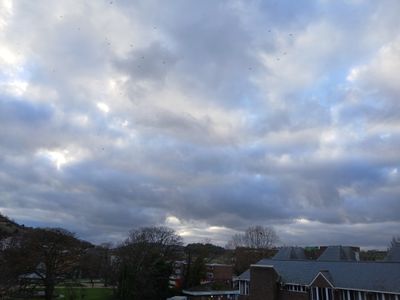 6th February 2025 - moody, cloudy sky