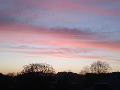 22nd February 2025 - sunset scene from my window