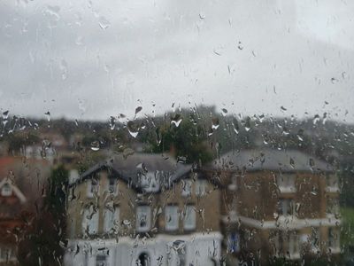 26th February 2025 - another rainy day