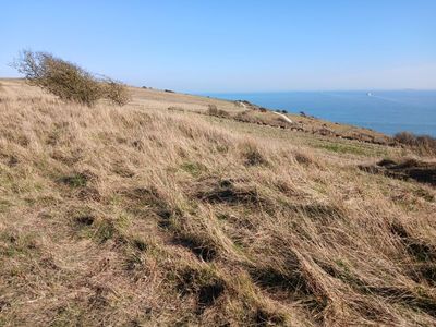 20th March 2025 - on the cliffs again