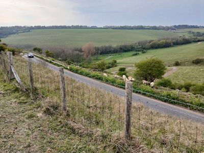 18th April 2025 - looking across the fields, as sheep graze against the fence