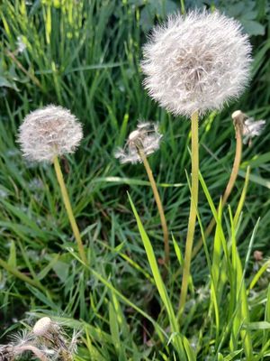 2025 Photo a Day