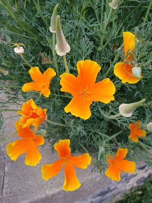 2025 Photo a Day
