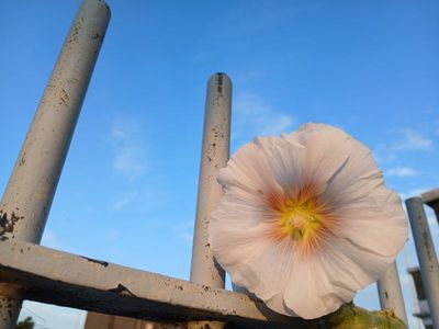 2025 Photo a Day