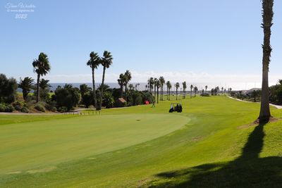 Amarilla Golf  (21 foto's)