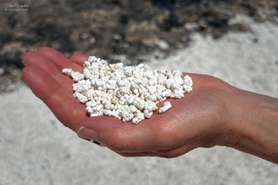 Popcorn Beach (5 foto´s)