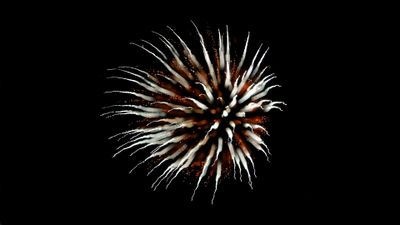 Fireworks 2025
