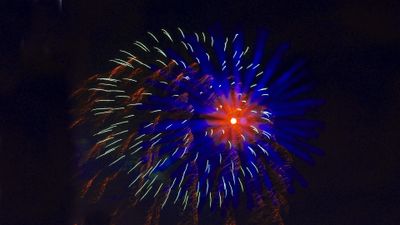 FireworksW113