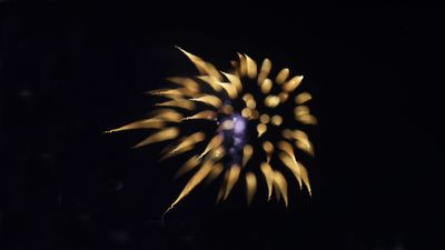 FireworksW116
