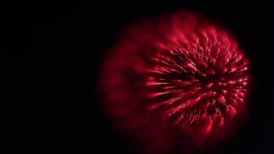 Fireworks 2025