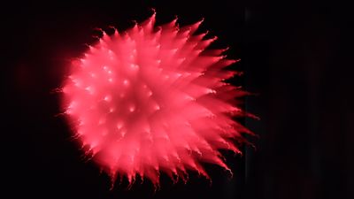 Fireworks 2025