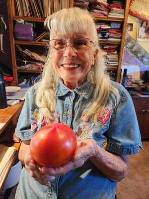 Shady Lady Tomatoe.jpg