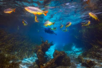 _T7A2432-copiar.jpg