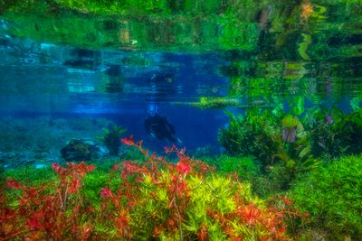 _T7A9009-copiar.jpg