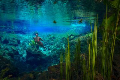 _U0A2147-Aprimorado-NR-copiar-2.jpg