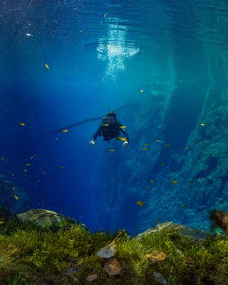 _U0A5978-Aprimorado-NR.jpg