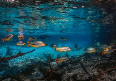 _T7A2417-copiar.jpg