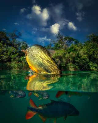 IMG_1442-copiar.jpg