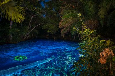 NascenteAzul_Marcio-Cabral-Agosto-2023.jpg