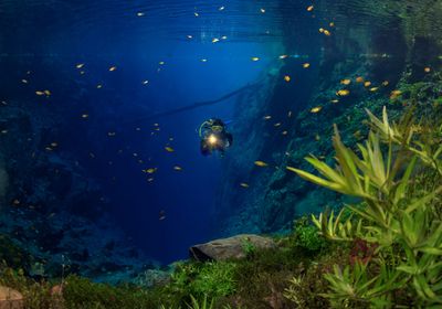 Mysterious Lagoon - Lagoa Misteriosa