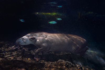 Recanto Ecológico Rio da Prata