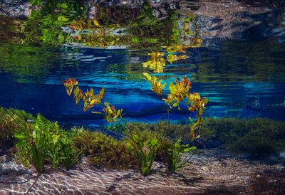 _MG_8435-copiar.jpg