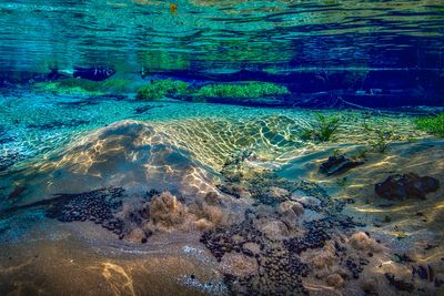 _T7A2446-copiar.jpg