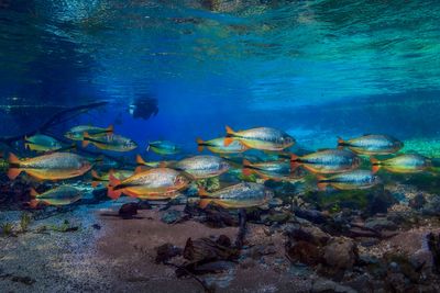 _T7A2512-copiar.jpg