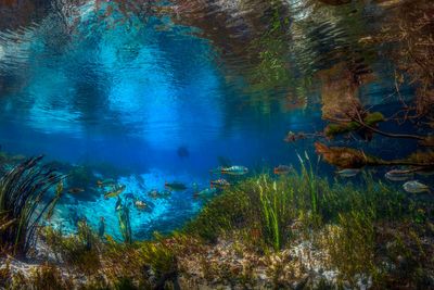 _T7A2542-copiar.jpg