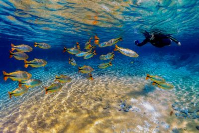 Recanto Ecolgico Rio da Prata